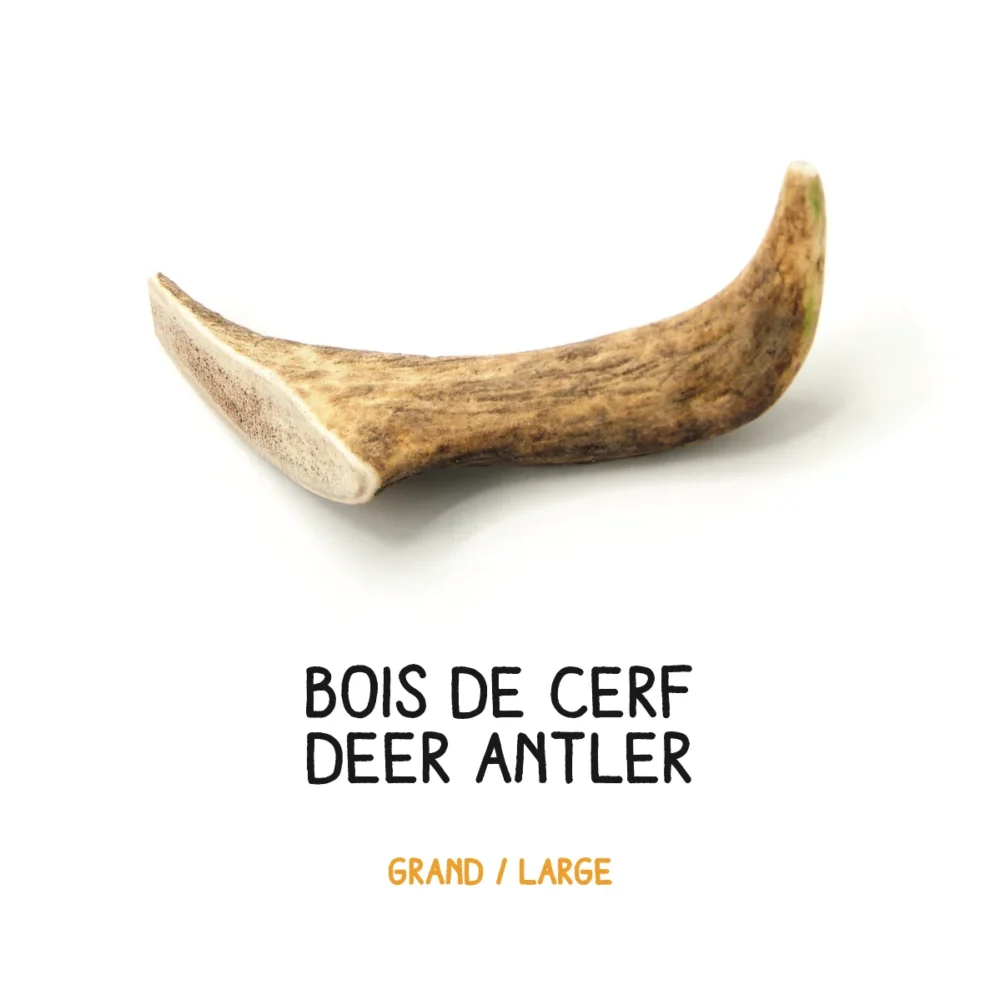 Bois de cerf – L – 101-180g (1)