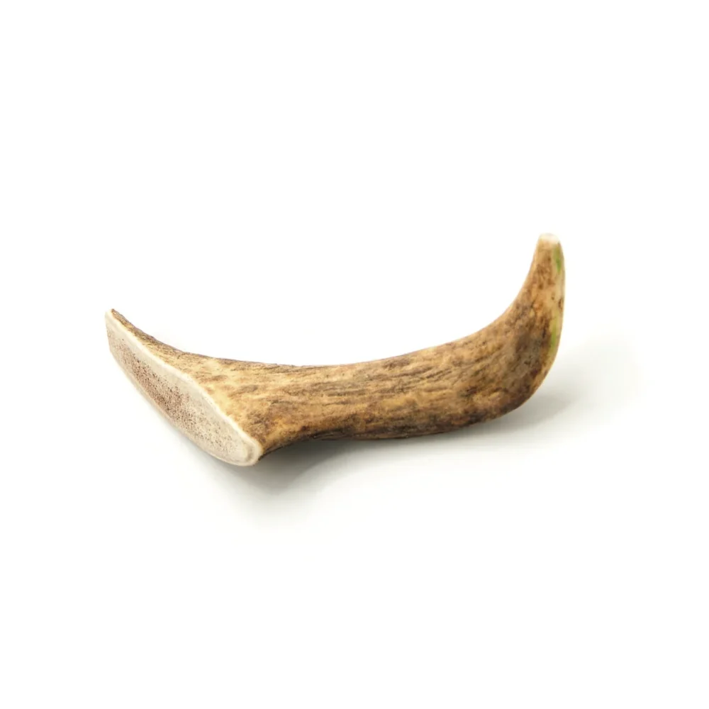 Bois de cerf - L - 101-180g