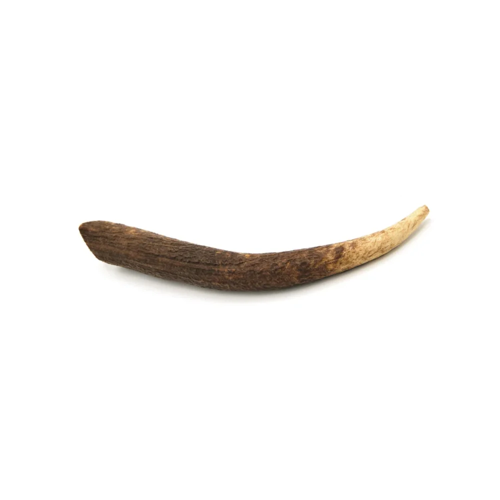 Bois de cerf - M - 61-100g