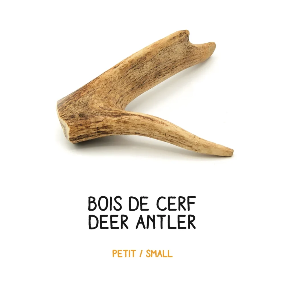 Bois de cerf – S – 31-60g (1)
