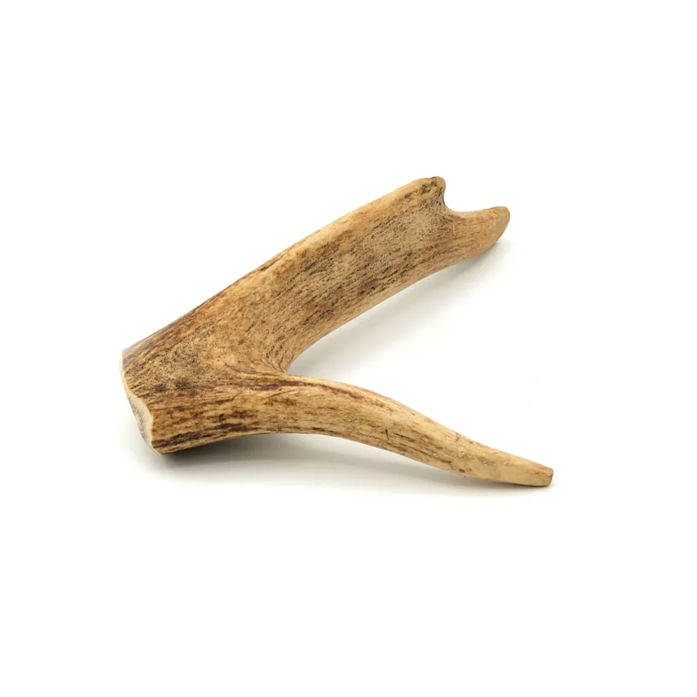 Bois de cerf - S - 31-60g