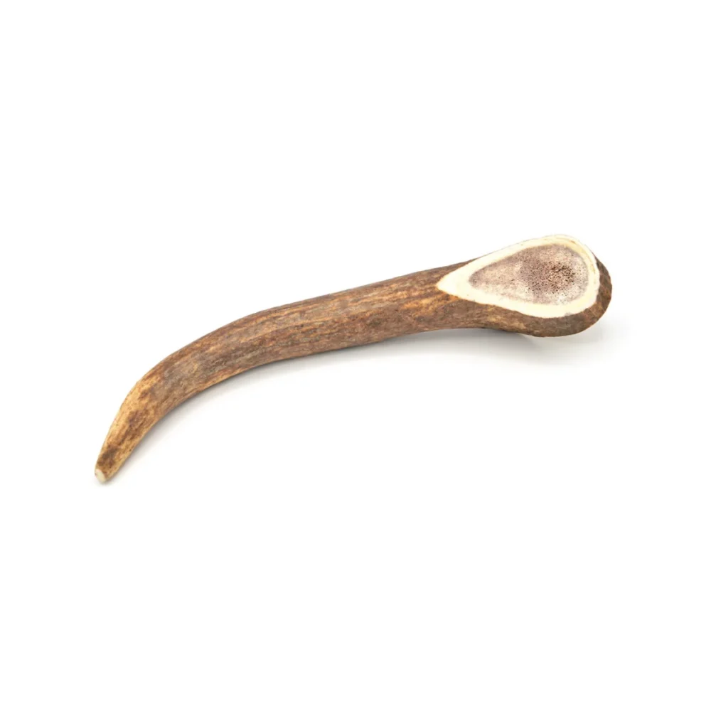 Bois de cerf - XL - 181-260g
