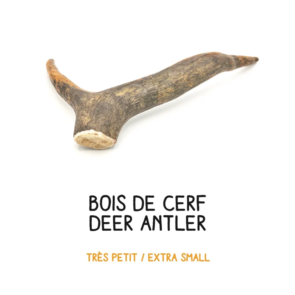 Bois de cerf – XS – 16-30g (1)