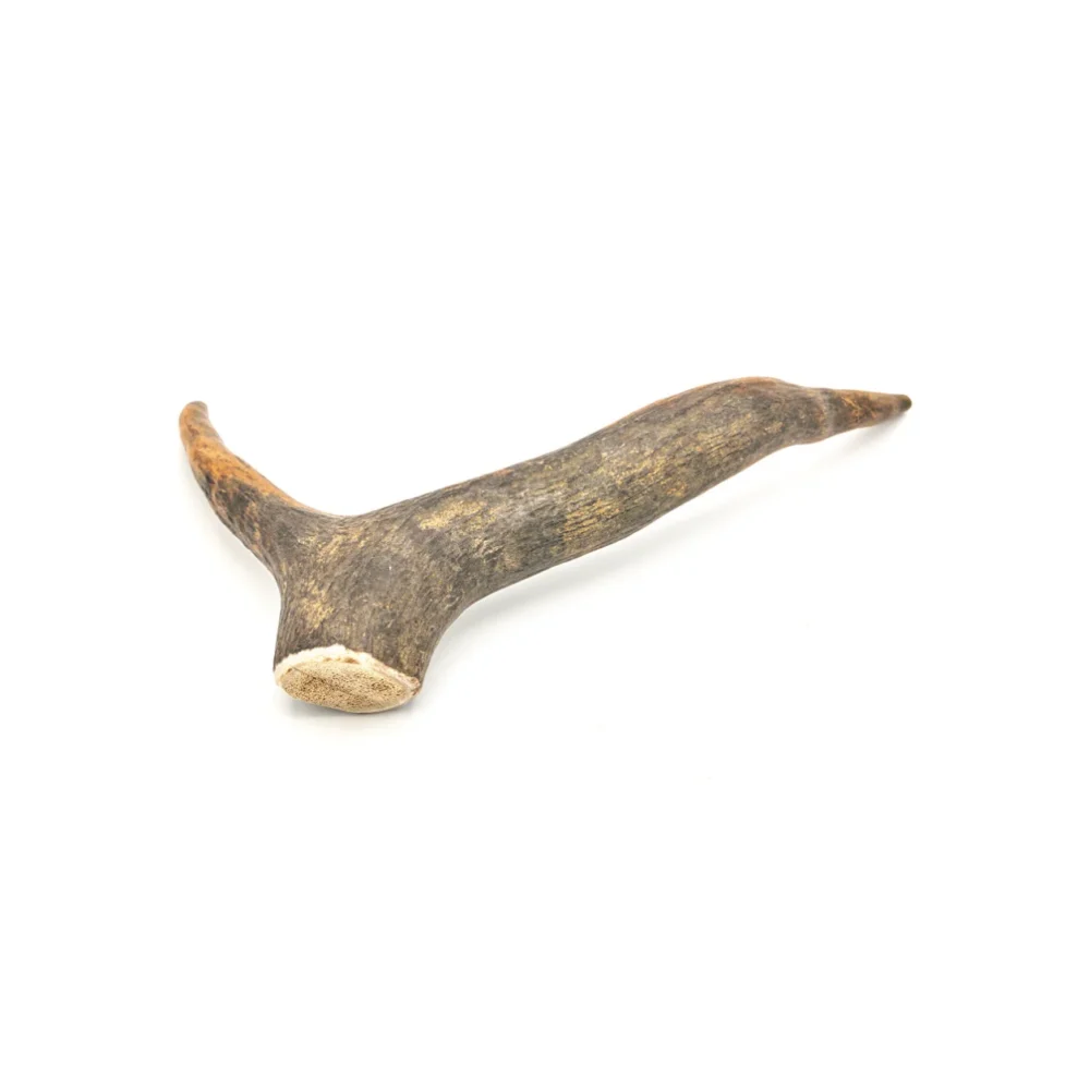 Bois de cerf - XS - 16-30g