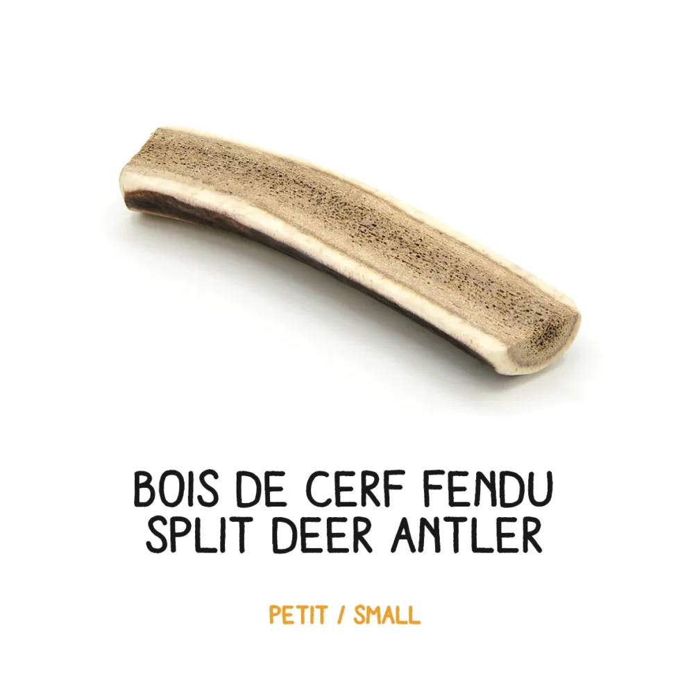 Bois de cerf brisé – S
