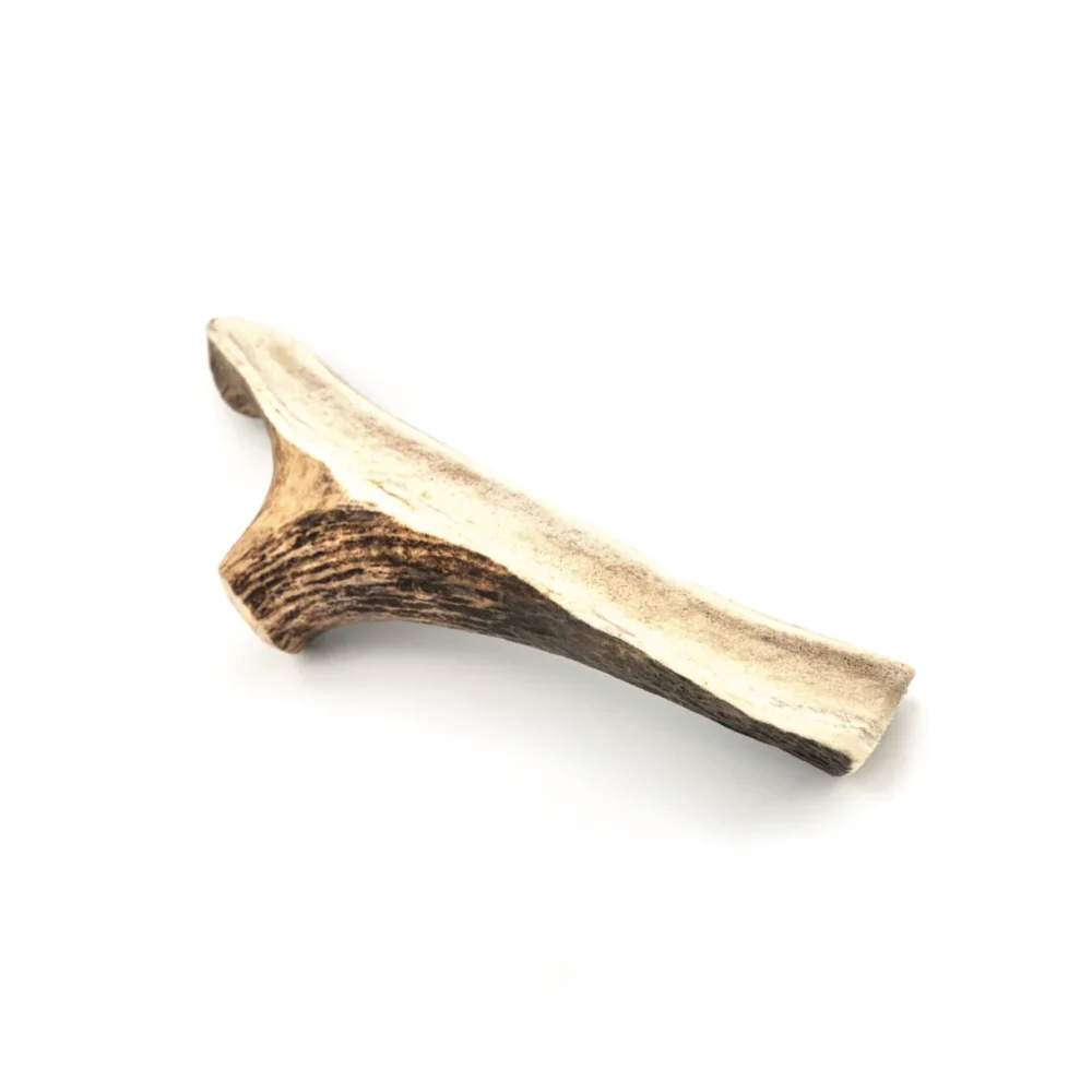 Bois de cerf brisé - XL - 121-160g