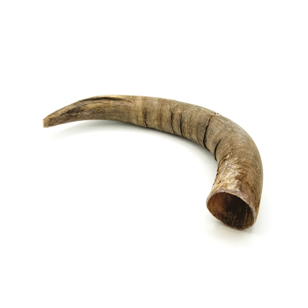 Corne de bovin - M - 201- 350g