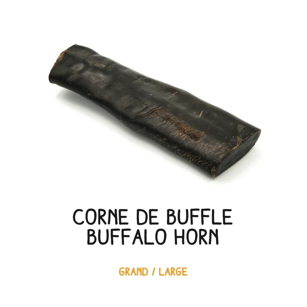 Corne de buffle – L 400+g