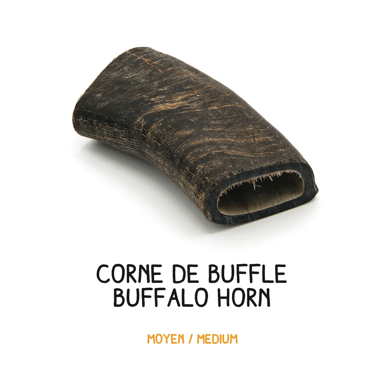 Corne de buffle - M - 251- 400g – Image 2