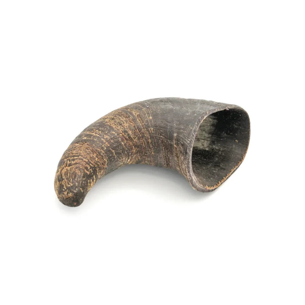 Corne de buffle - XS - 30- 99g
