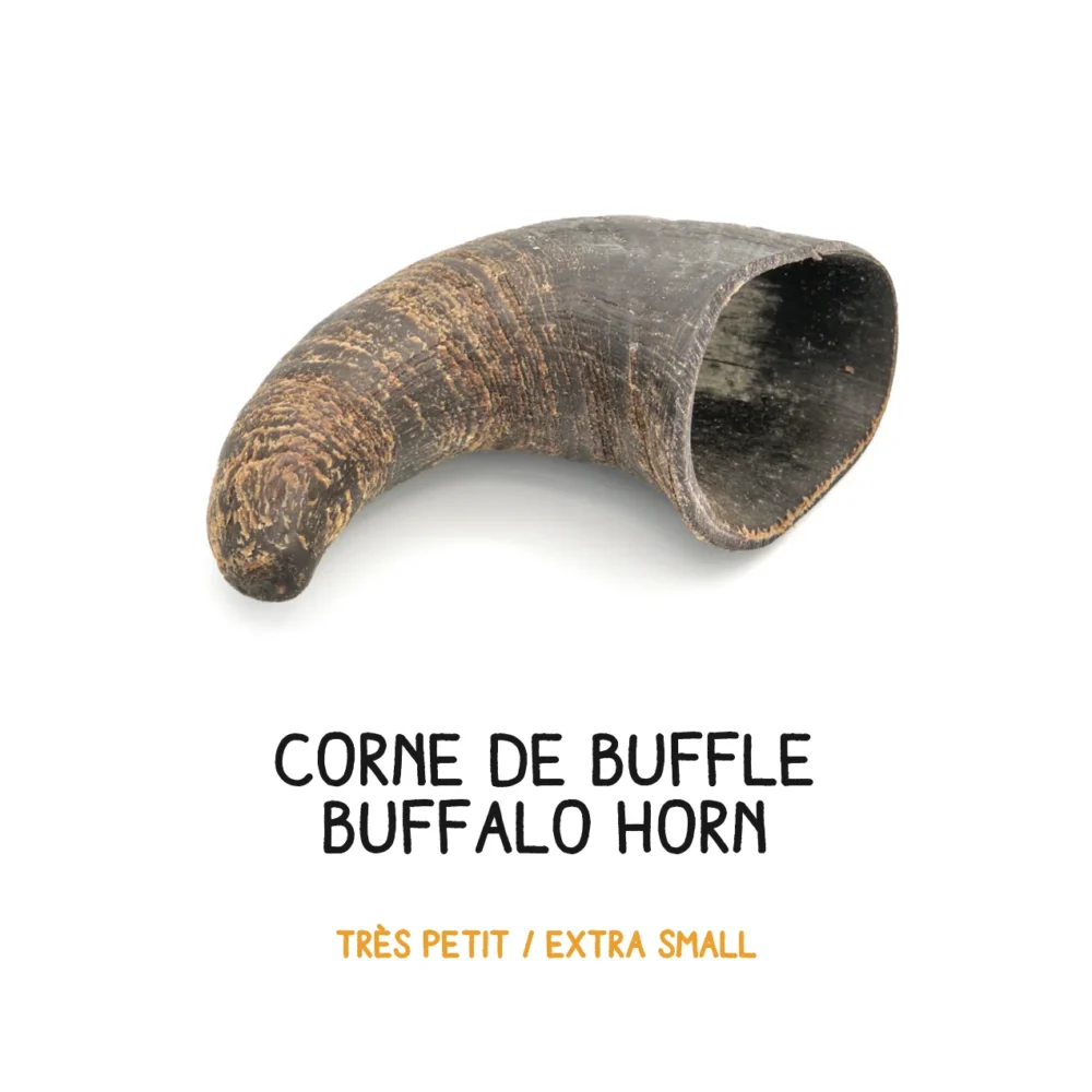 Corne de buffle – XS – 30- 99g