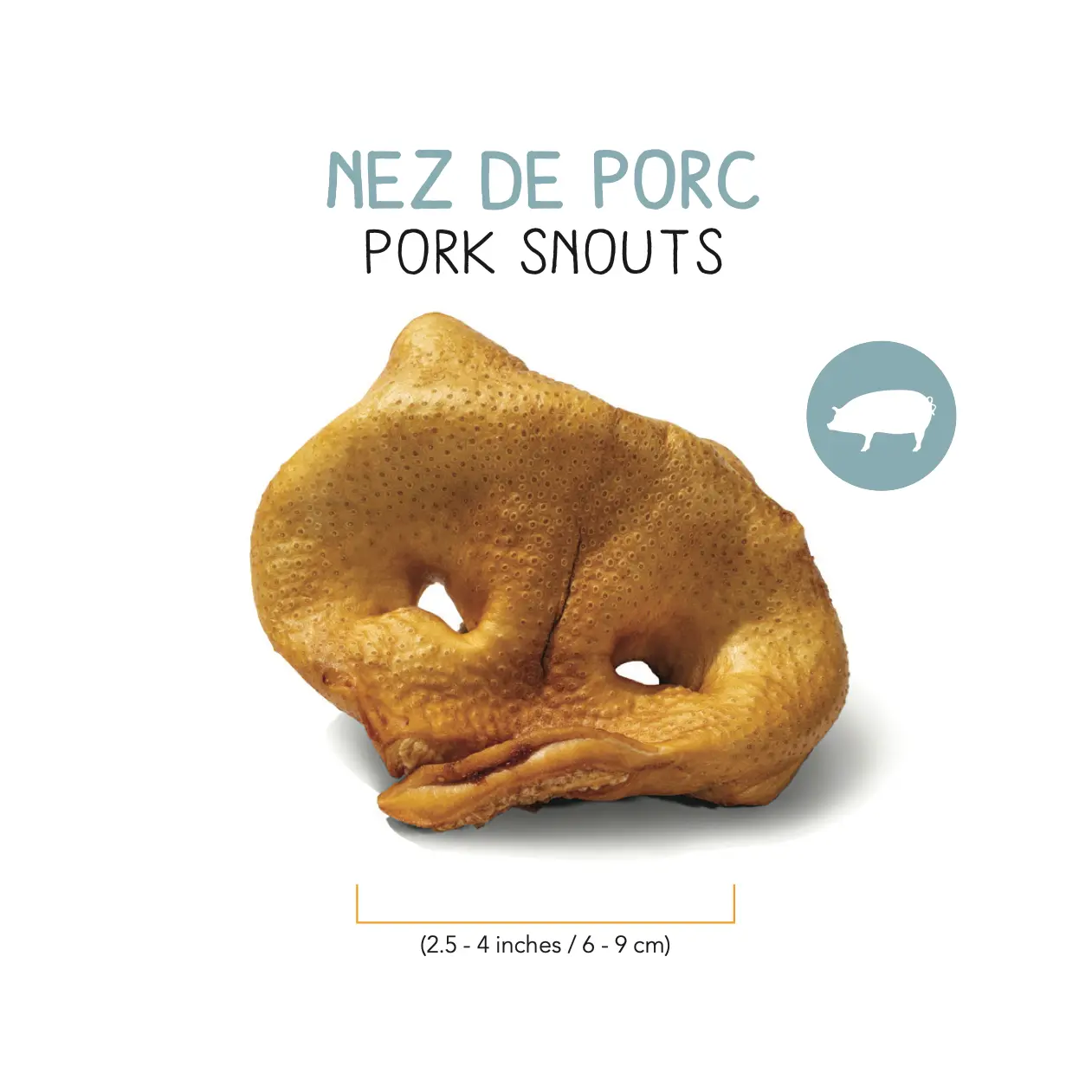 Nez de porc moyen – Image 2