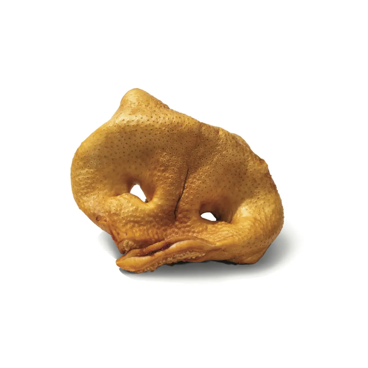 Nez de porc moyen