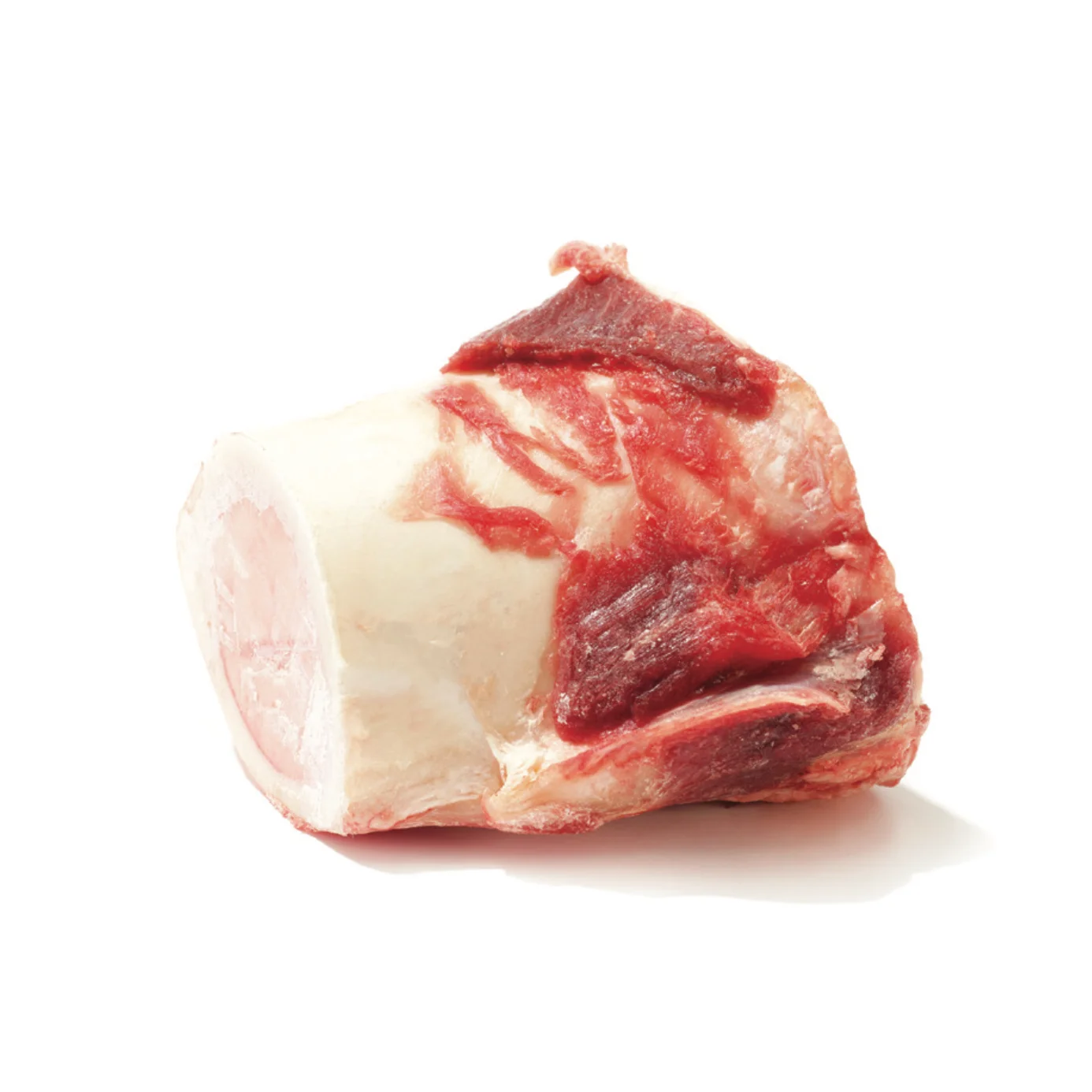 Os a Moelle - Petit ( 1 - 3 pouces / 3 - 8 cm)
