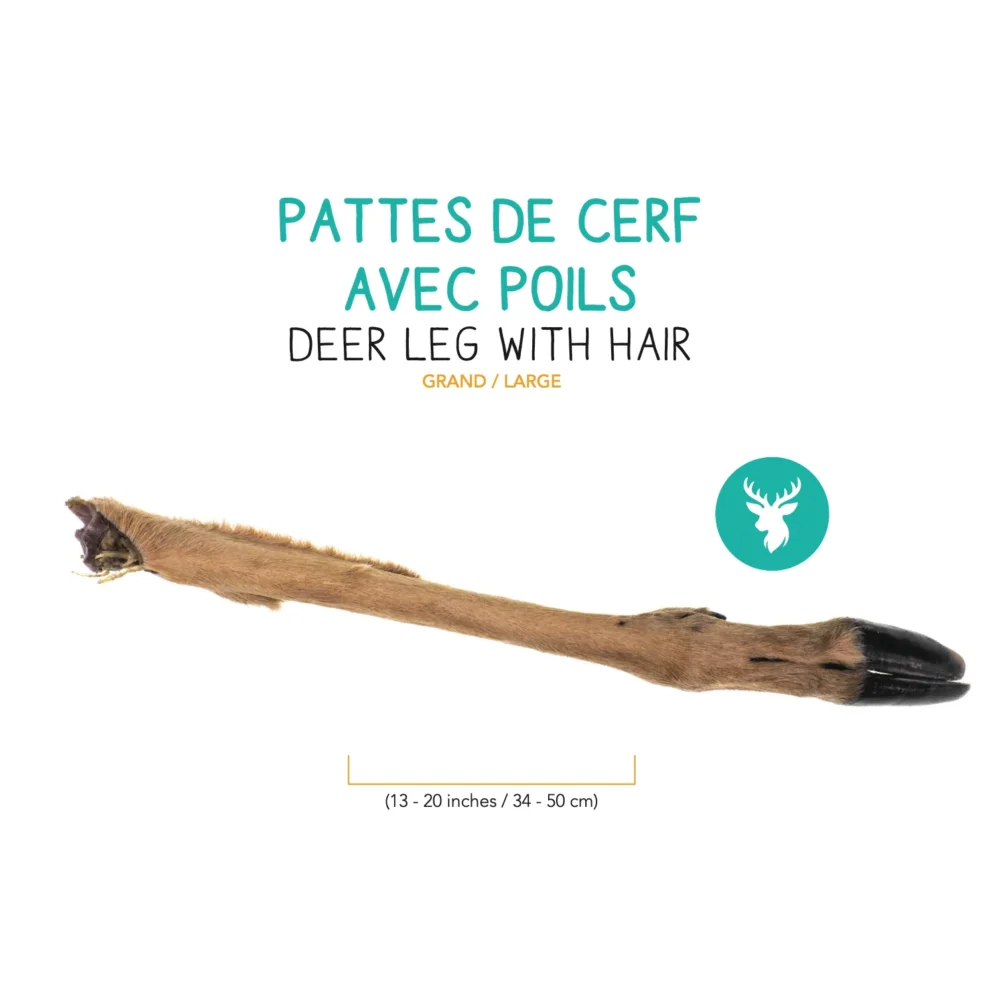 PATTES DE CERF DESHYDRATEE AVEC POILS – GRAND (1)