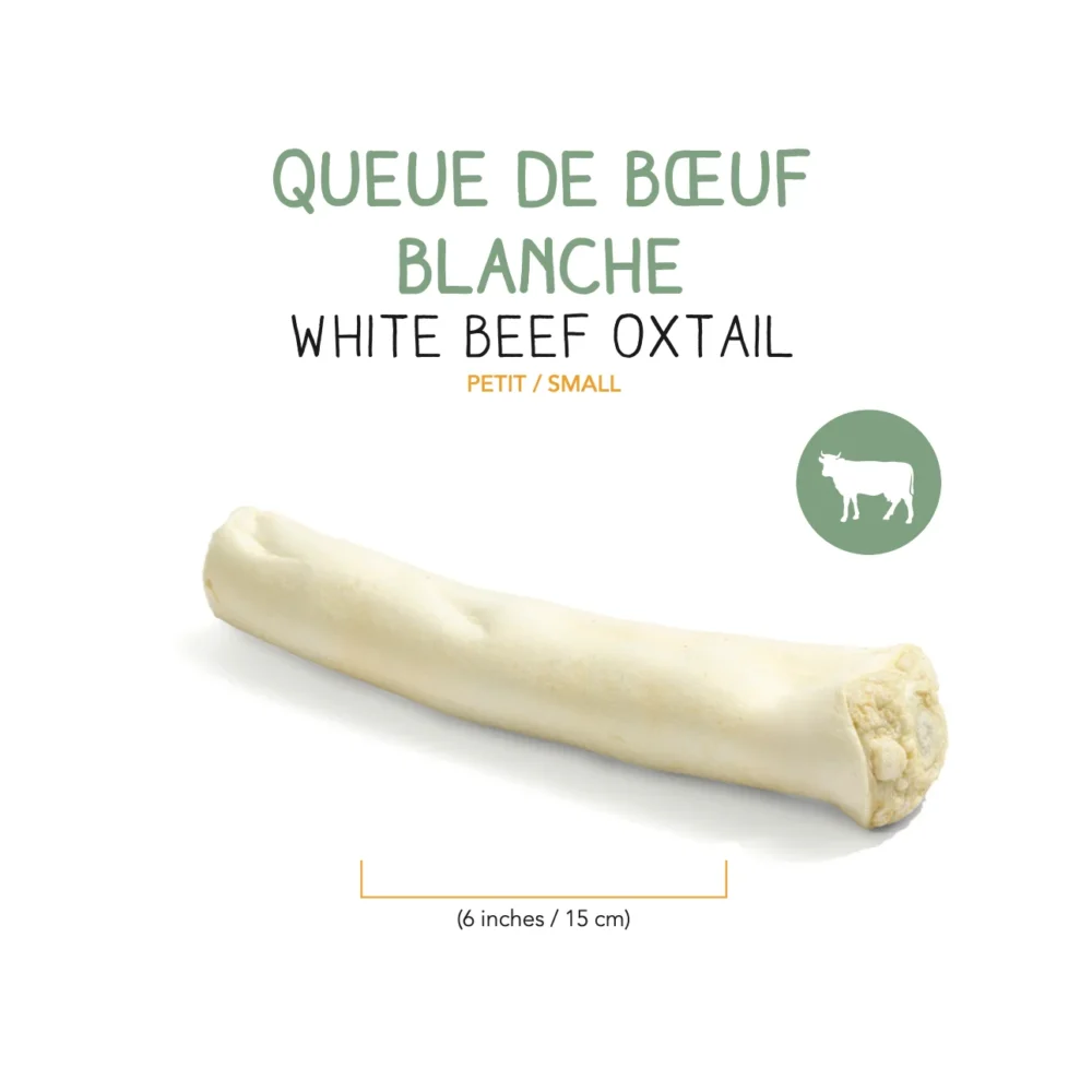 QUEUE DE BOEUF BLANCHE DESHYDRATEE – 15 cm (1)