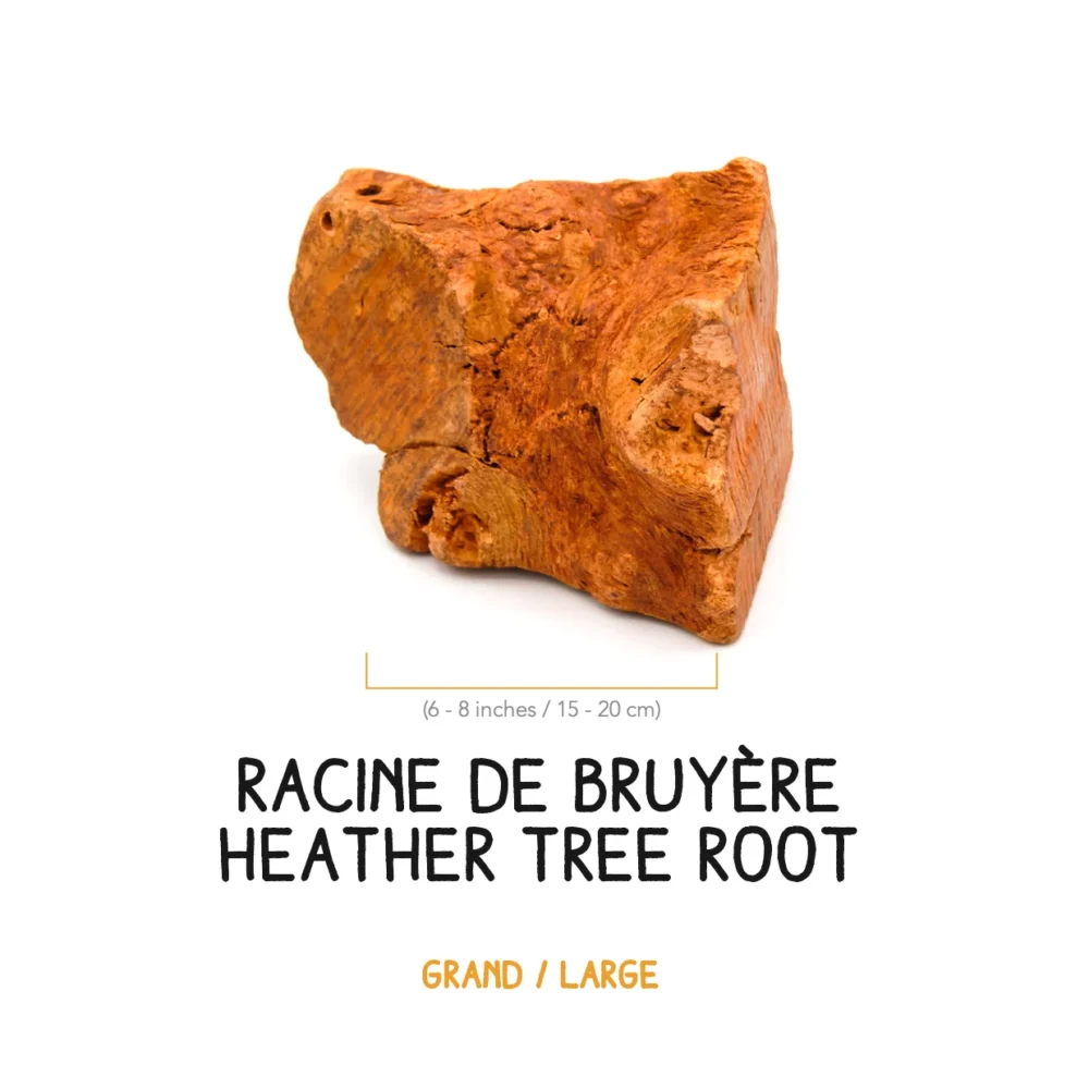 Racine de bruyère – L – 501- 700g (1)