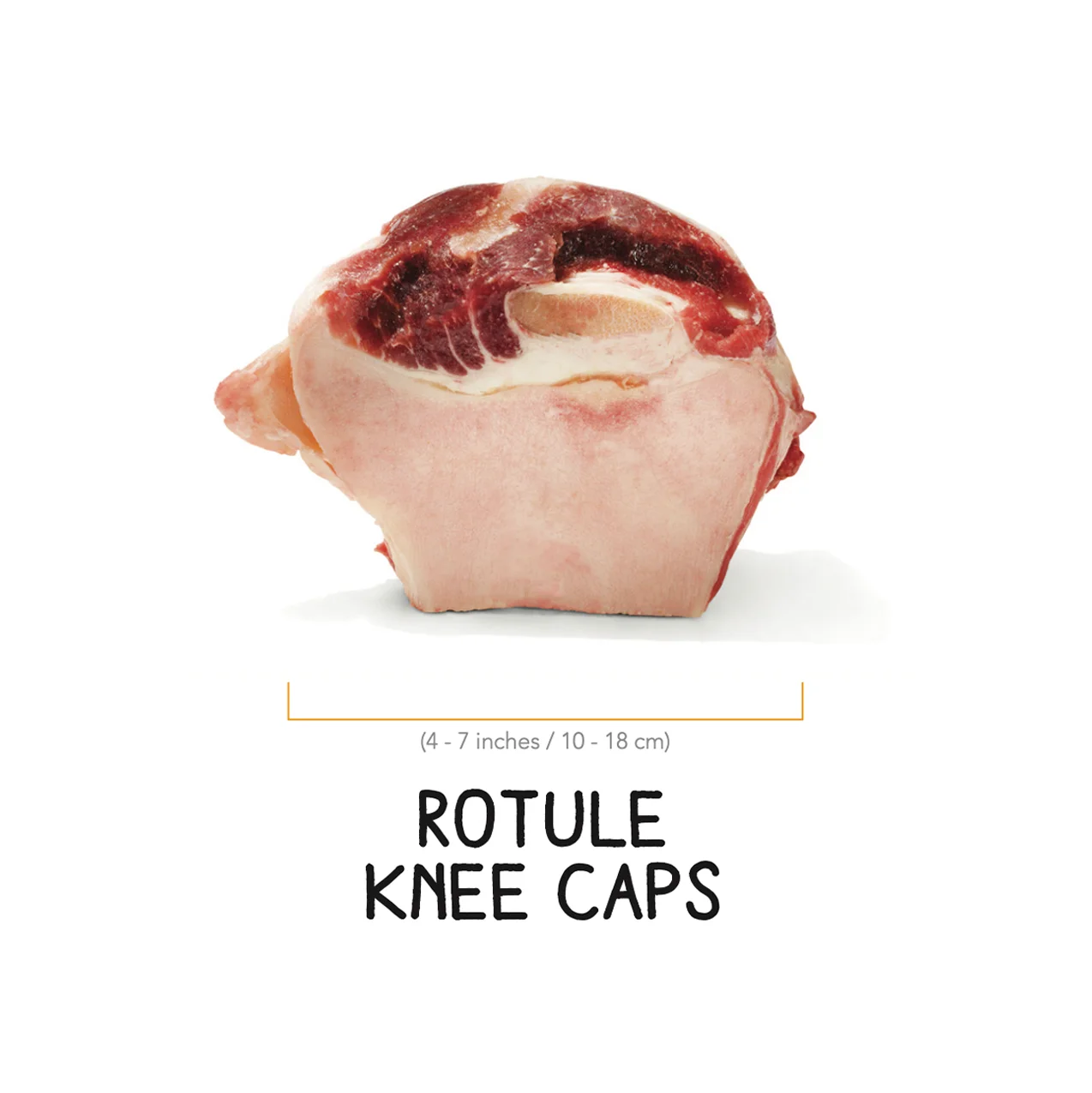 Rotule – Image 2